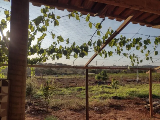 Chácara em Caturai GO