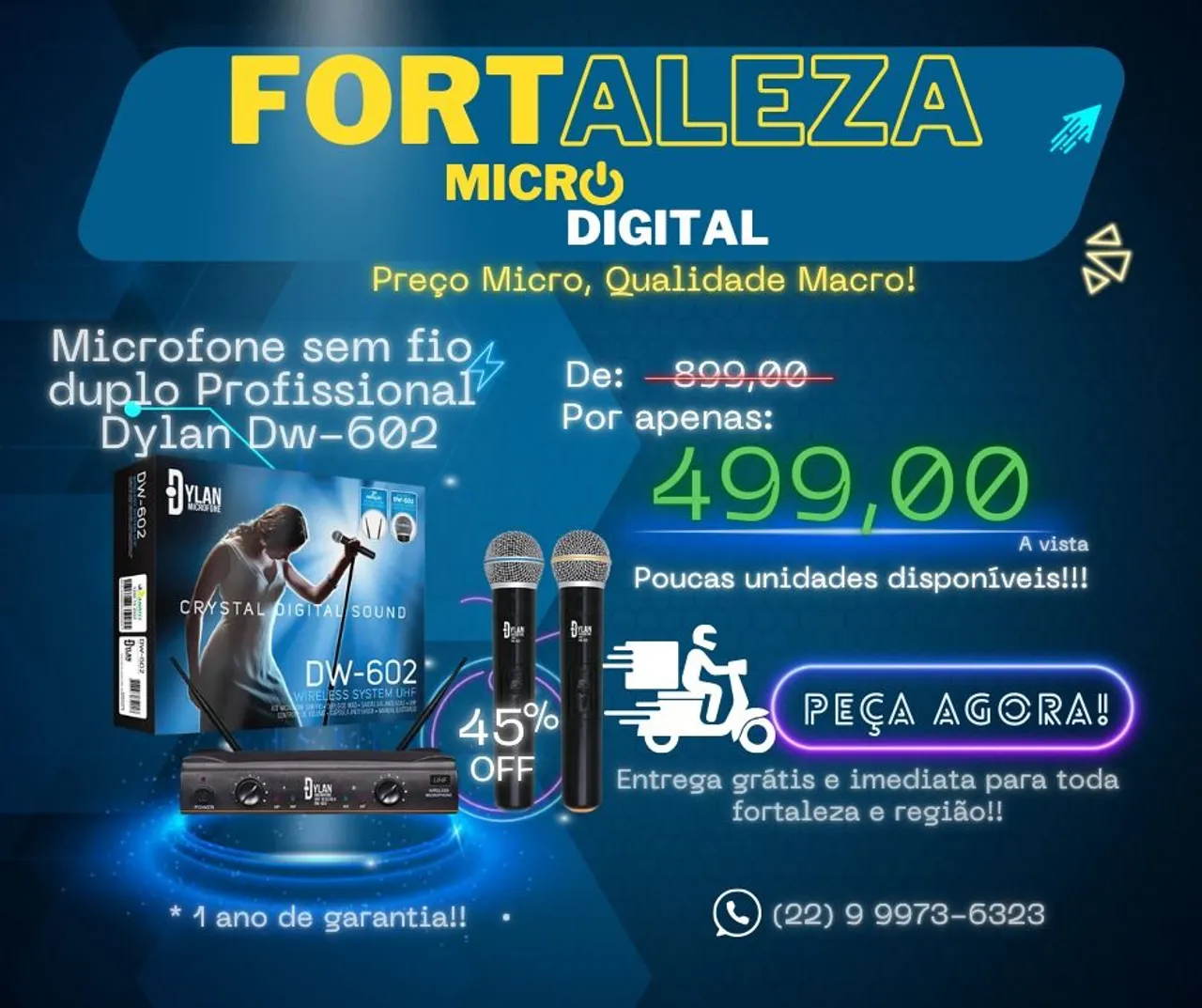 Microfone sem fio Profissional duplo Dylan