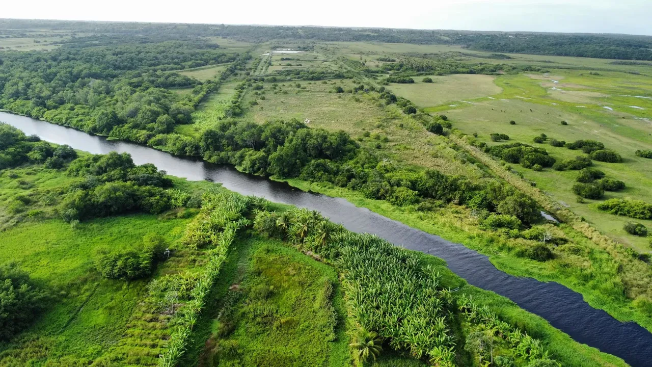fazenda com 49.7 hectares excelente para carcinicultura com 28 hectares de lâmina d'água