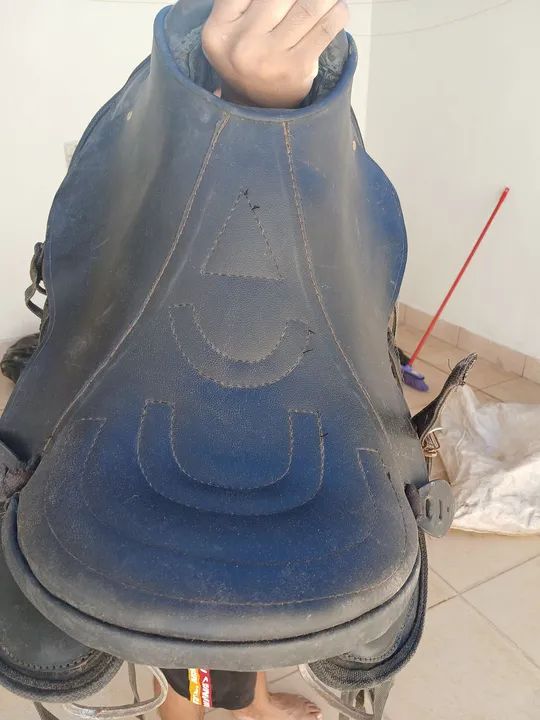 Cela mangalarga zera  - Foto 4