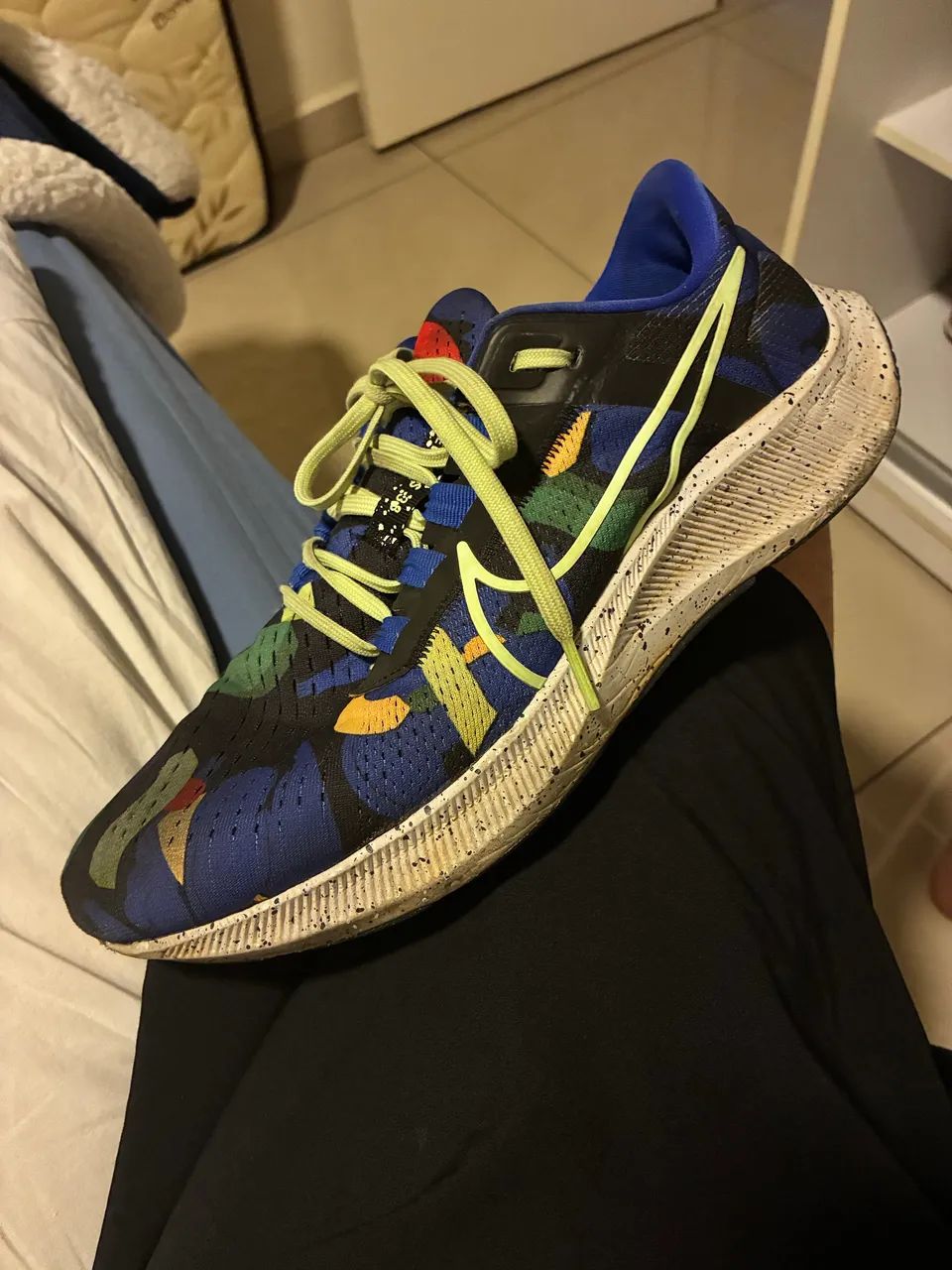 pegasus 38 kelly anna