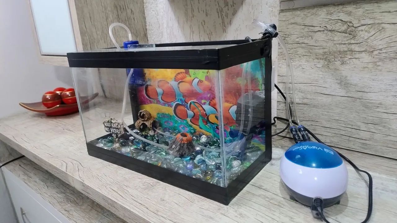 Aquário 64750516236163120