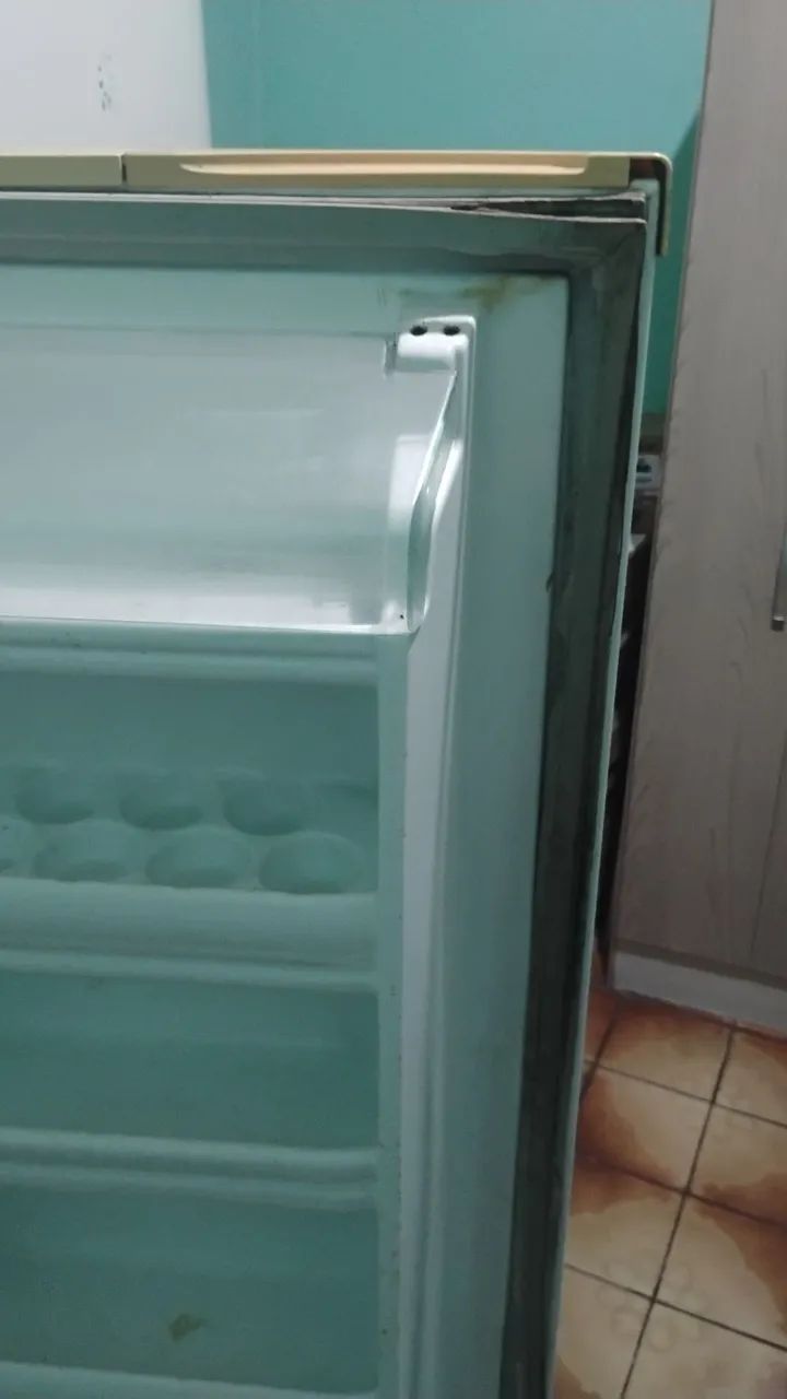 Geladeira Electrolux com pintura artística - Foto 4