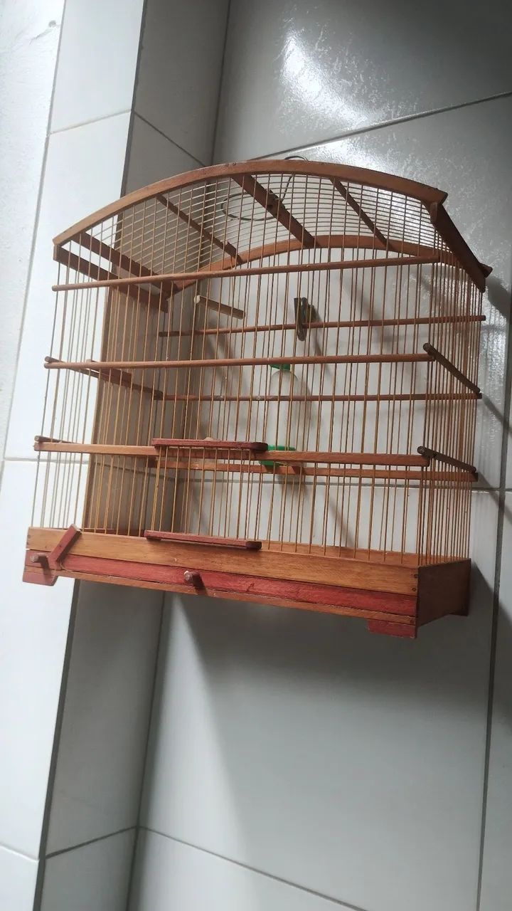 VENDO GAIOLA PARA PASSARINHO - Foto 2