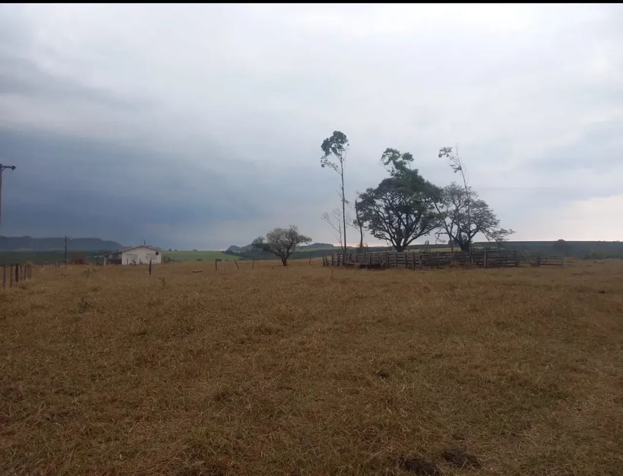 Sítio bom para café ,abacate ,grãos - Foto 4