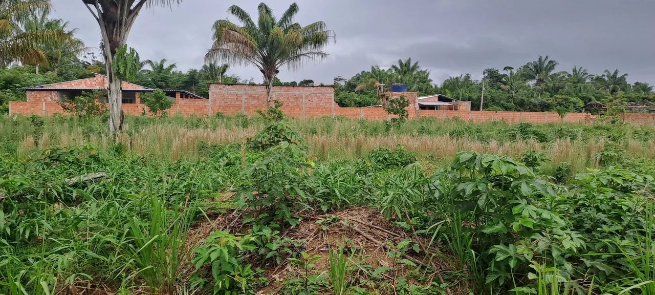 TERRENO PARA CONSTRUIR SUA CHÁCARA.  - Foto 4
