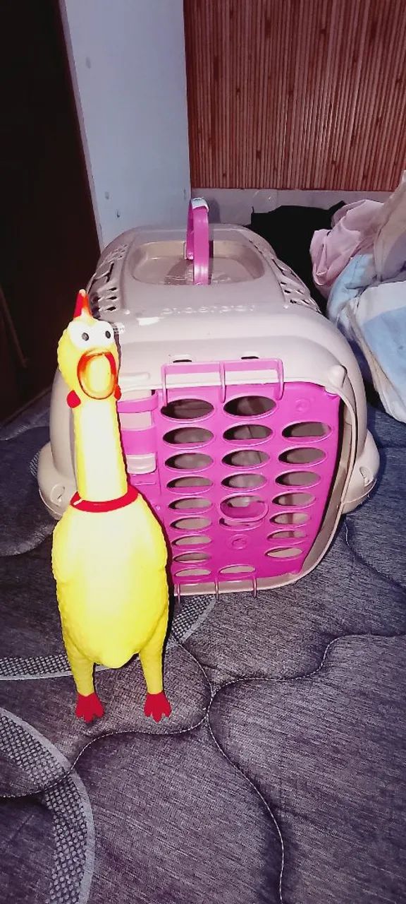 Caixa transportadora para pet + Galo de brinquedo.