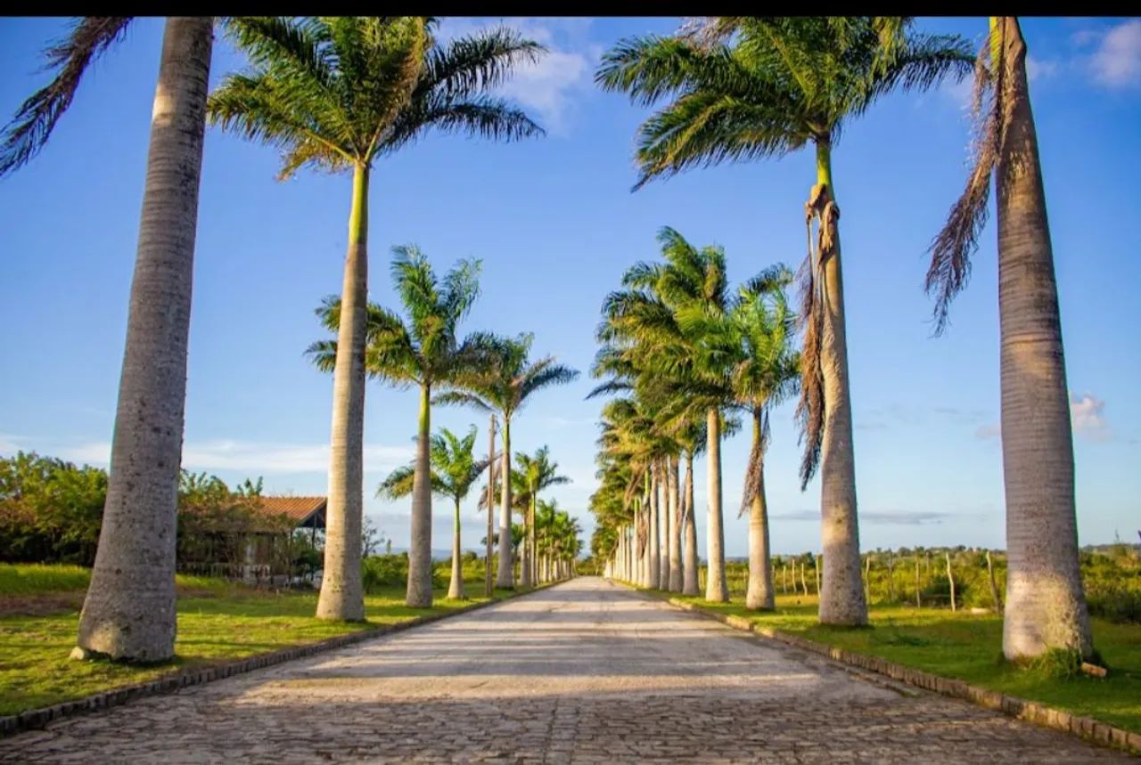 Oportunidade abaixo da tabela da construtora  - Foto 3