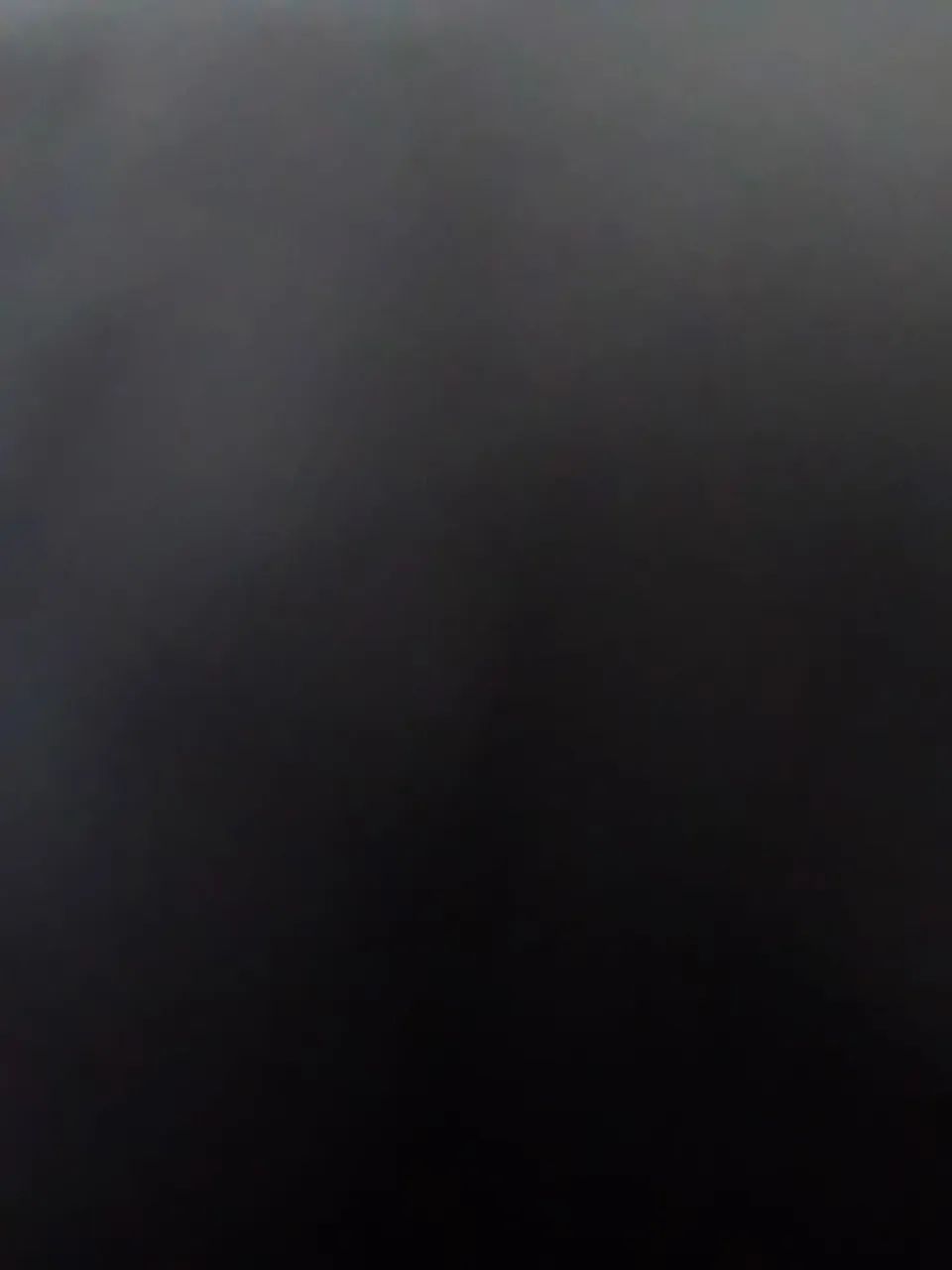 Telhadista 