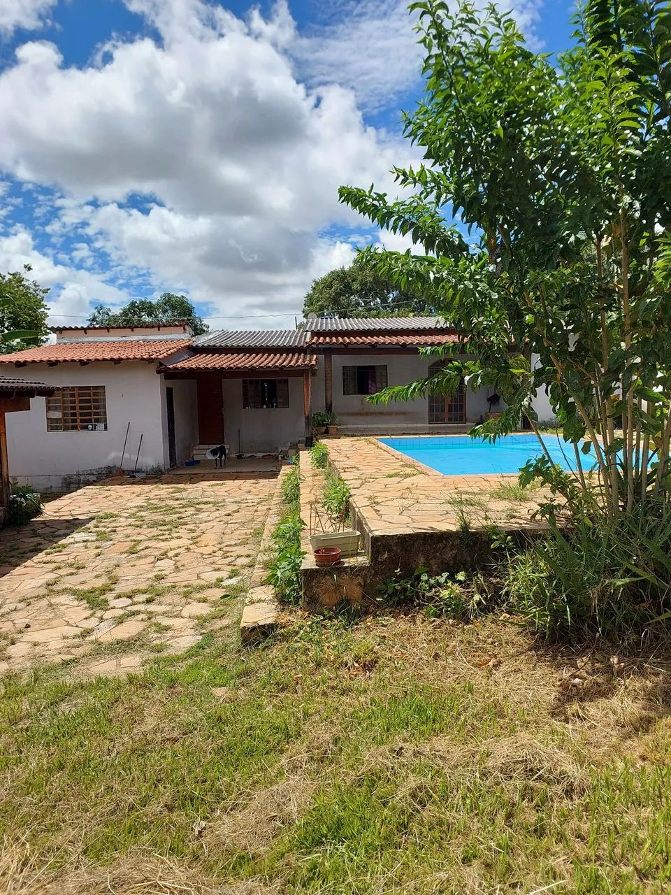 VENDO Sucupira Riacho fundo 1 - Foto 4