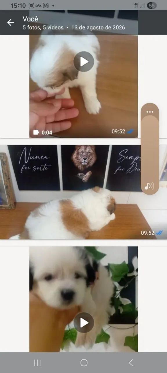 Pet amor ?  - Foto 3