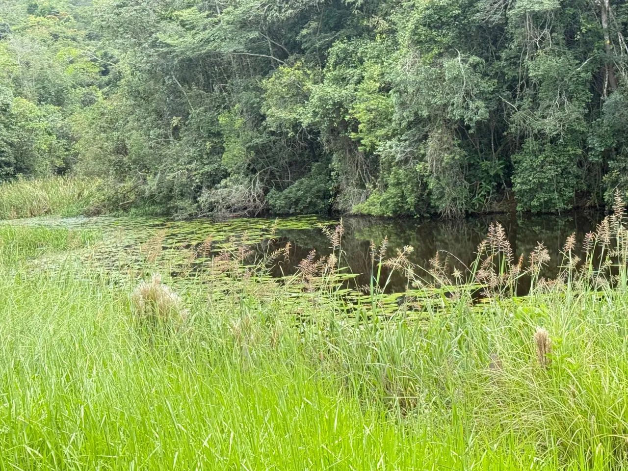 Fazendinhas módulo rural em juatuba  - Foto 5