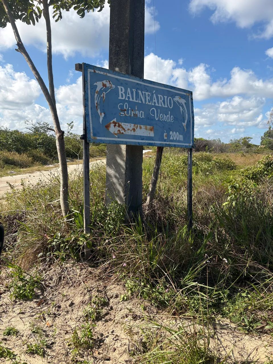 Terreno em terra caída praia - Foto 5