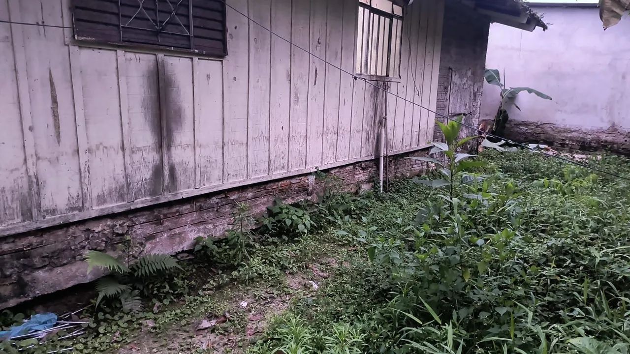 Terreno com casa  - Foto 4