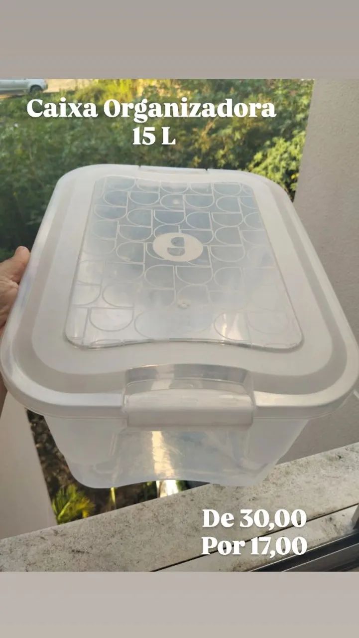Caixa Organizadora 15 L
