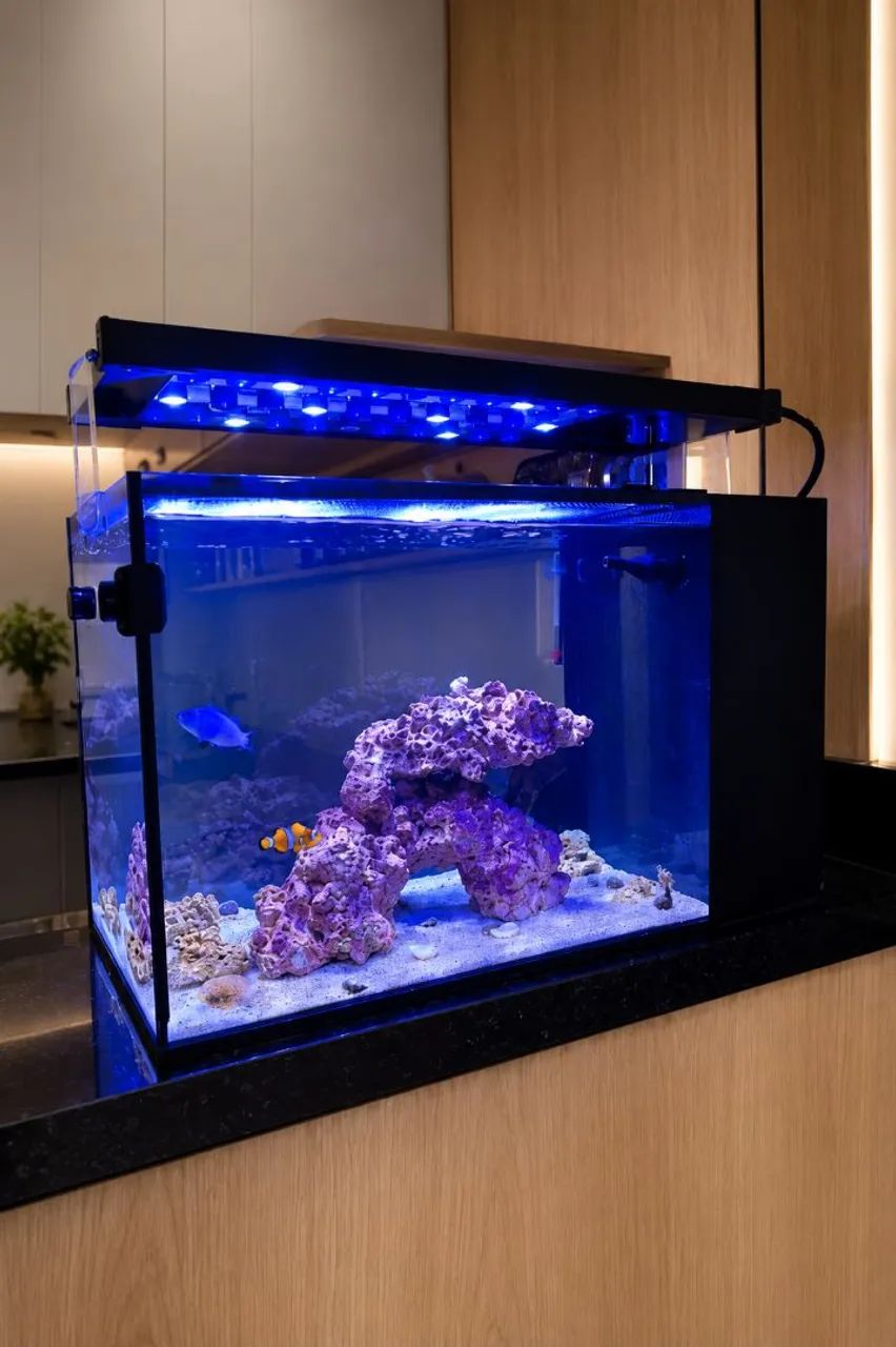 Luminária Para Aquários.  - Foto 4