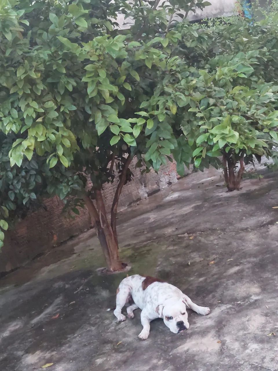 Aceito propostas - Foto 2