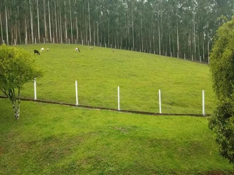 Terreno APIÚNA - SC - Foto 3