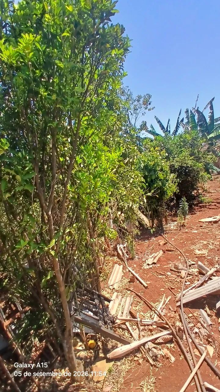Chácara Ouro Verde  - Foto 3