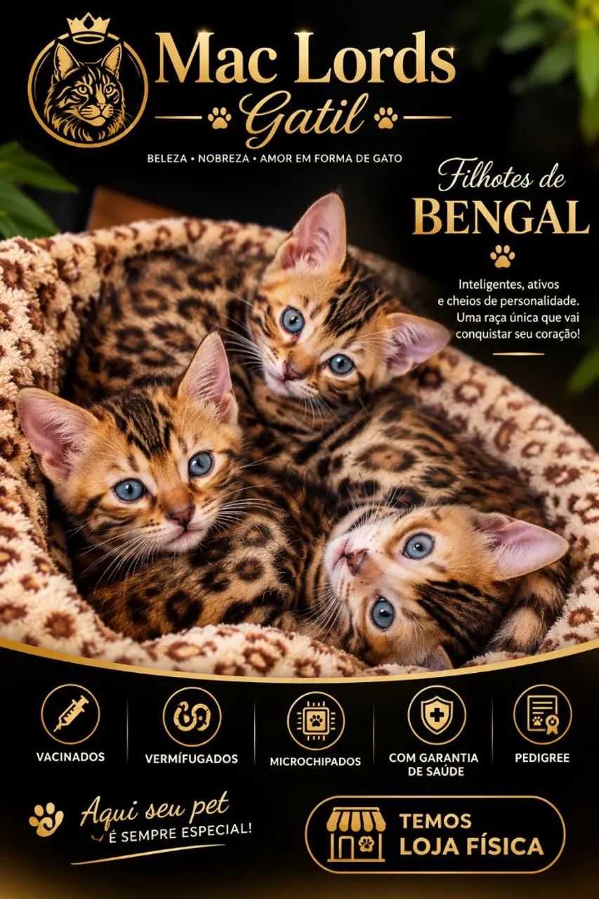 Bengal