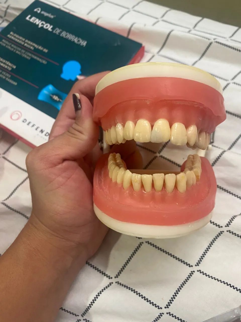 Kit de Modelos Odontológicos para Estudo - Usados - Foto 5