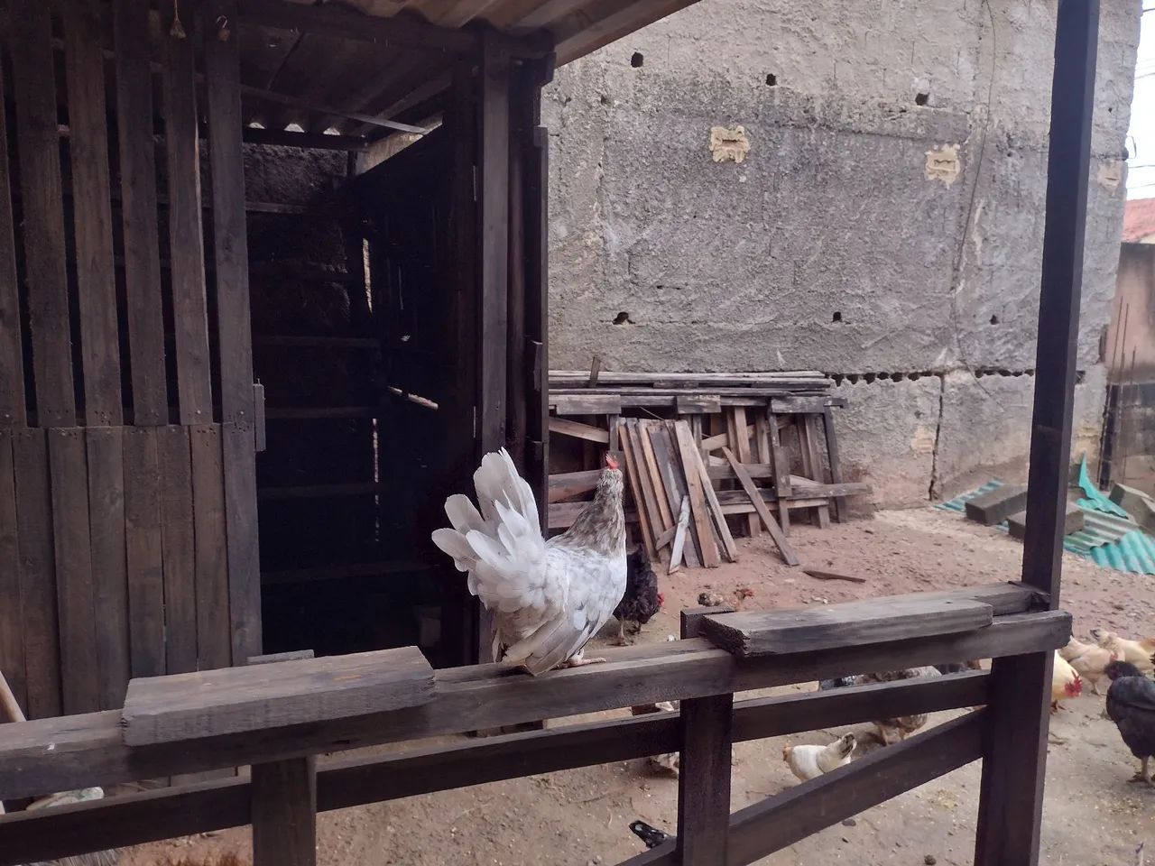 Venda de Garnizé 