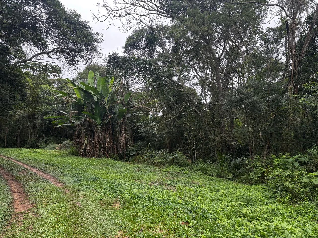 ABAIXEI PARA VENDER! VENDO TERRENO EM SÃO LOURENÇO DA SERRA