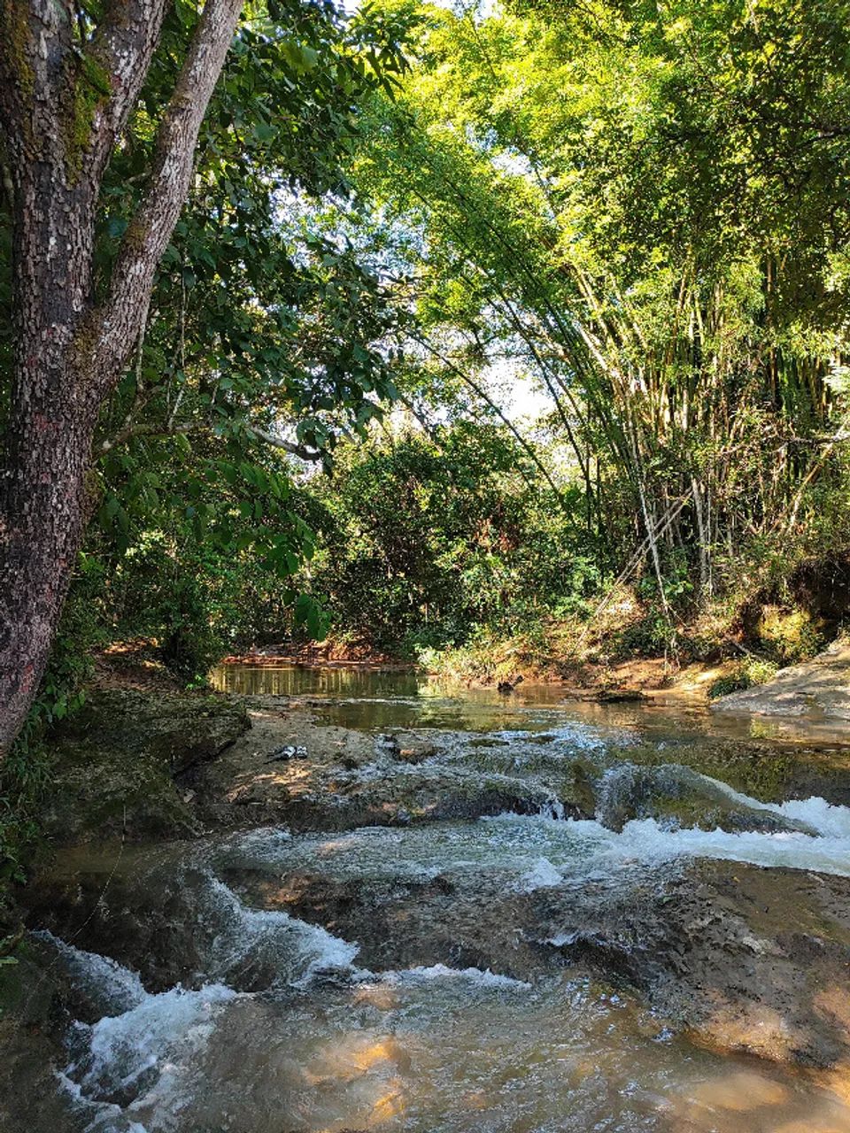 SÍTIO EDUARDO E MÔNICA - 39 hectares - DF - Foto 2