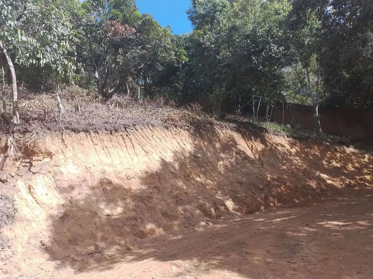 Terreno para sitio, chacara no precinho  - Foto 3