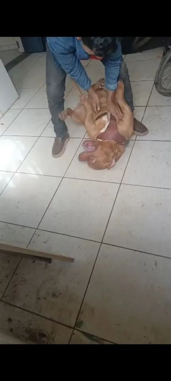 Para doação responsável 
