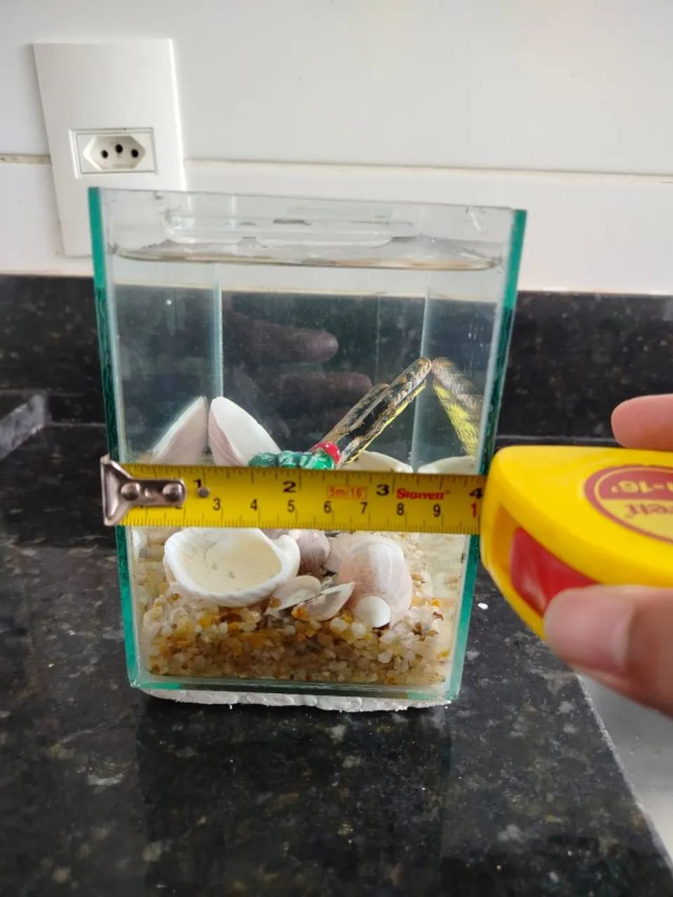 Aquario de 2 litros - Foto 2