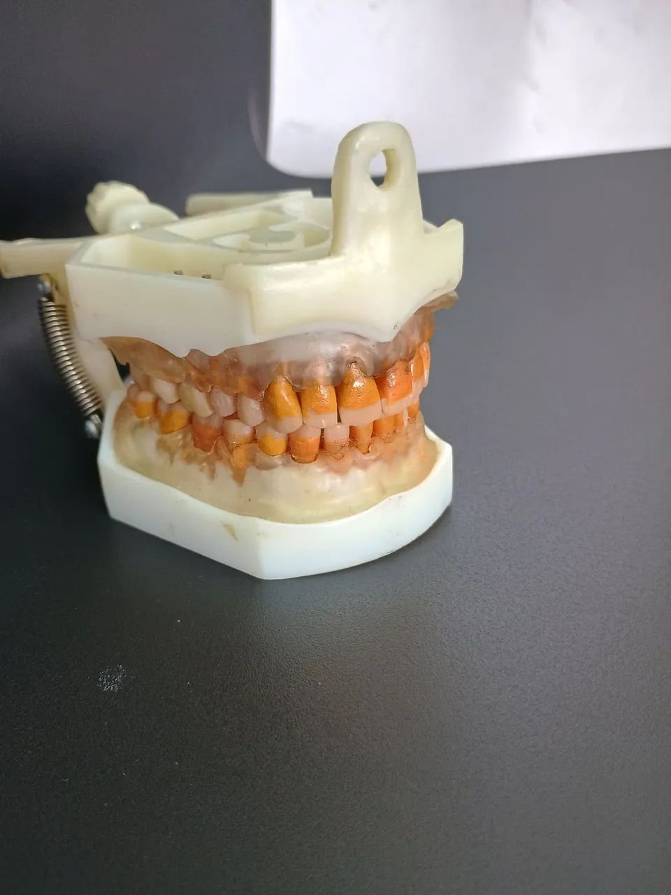 Manequins Odontológicos  - Foto 3