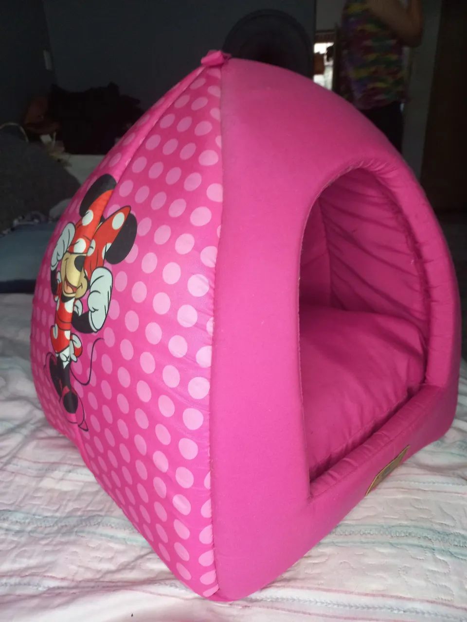 Caminha Toca para Pets