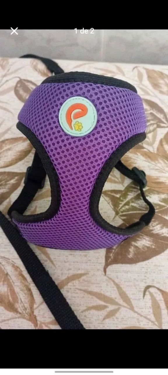 Kit para cachorro 