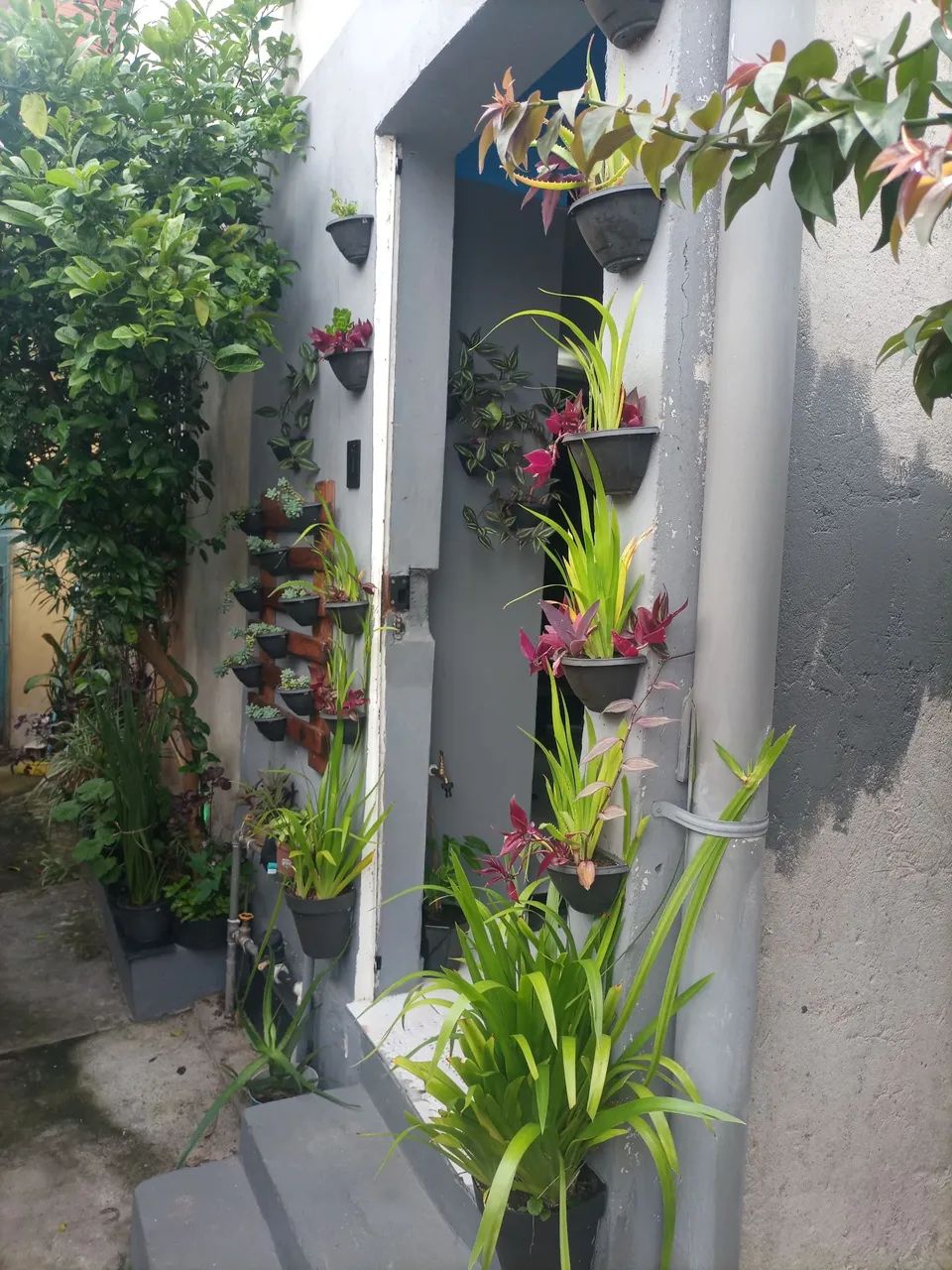 Foto - São Paulo - Jardim Iporanga