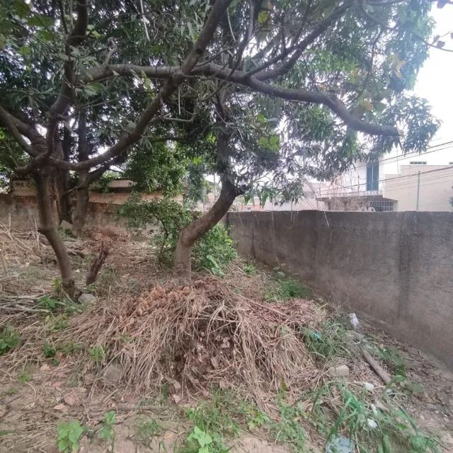  Lote de 440m² no Bairro Petrovale - Betim/MG - Escritura e Registro - Foto 8