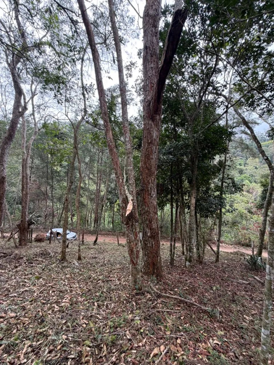 Terreno no coração do Vale das Videiras 2.000 m2