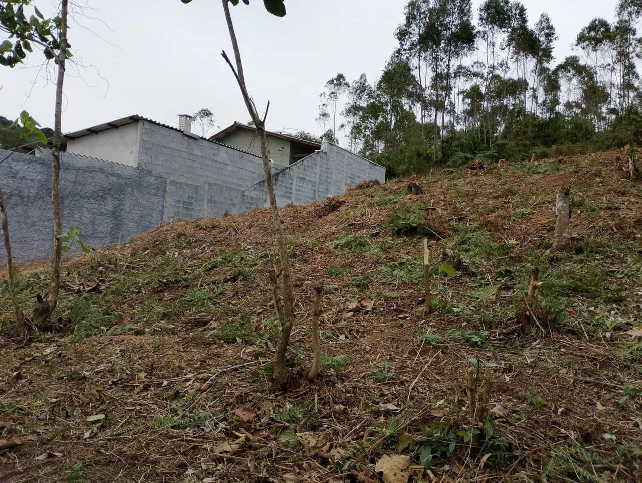 Vendo terreno 1000m2 ótima localização.