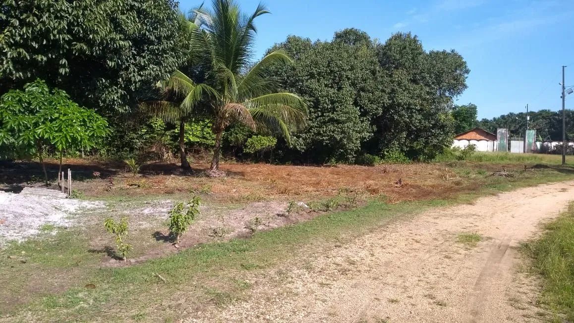 SITIO EM BRAGANÇA  - Foto 2