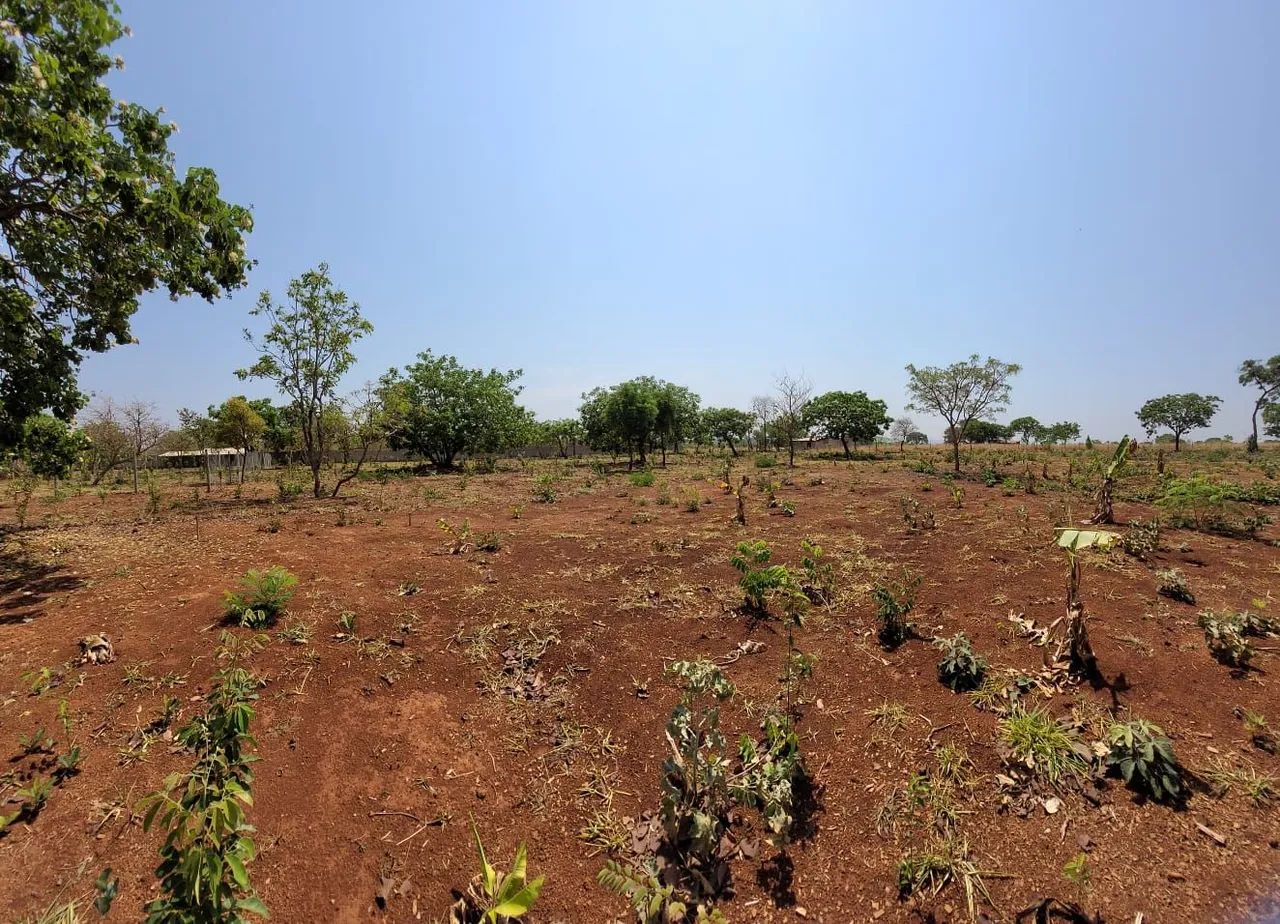 Terreno Chácara plano - Foto 4