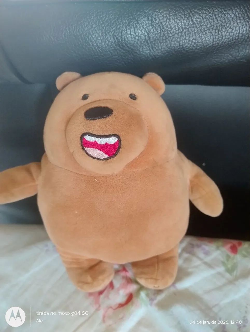 Pardo urso sem curso  - Foto 2