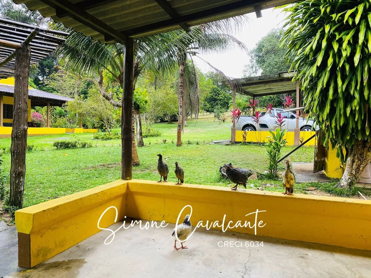 Casa Sitio Tarumã - Foto 4