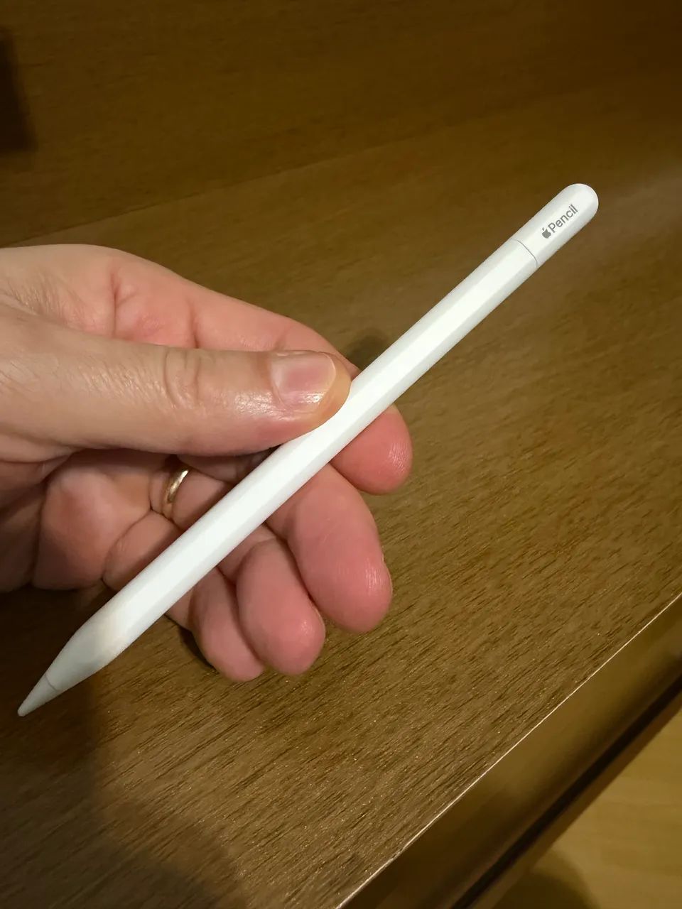 Apple Pencil USB-C Original Apple | Pouco Uso | Excelente Estado