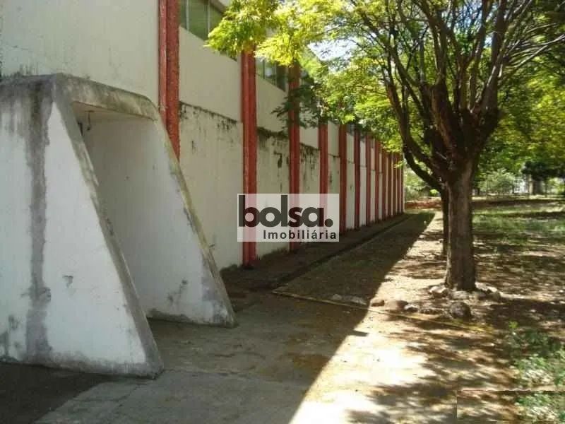 GALPÃO DISPONÍVEL PARA VENDA NO DISTRITO 1 ! ! - Foto 4