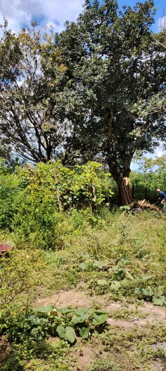 Ch ácara em Silvânia -Goiás  - Foto 2
