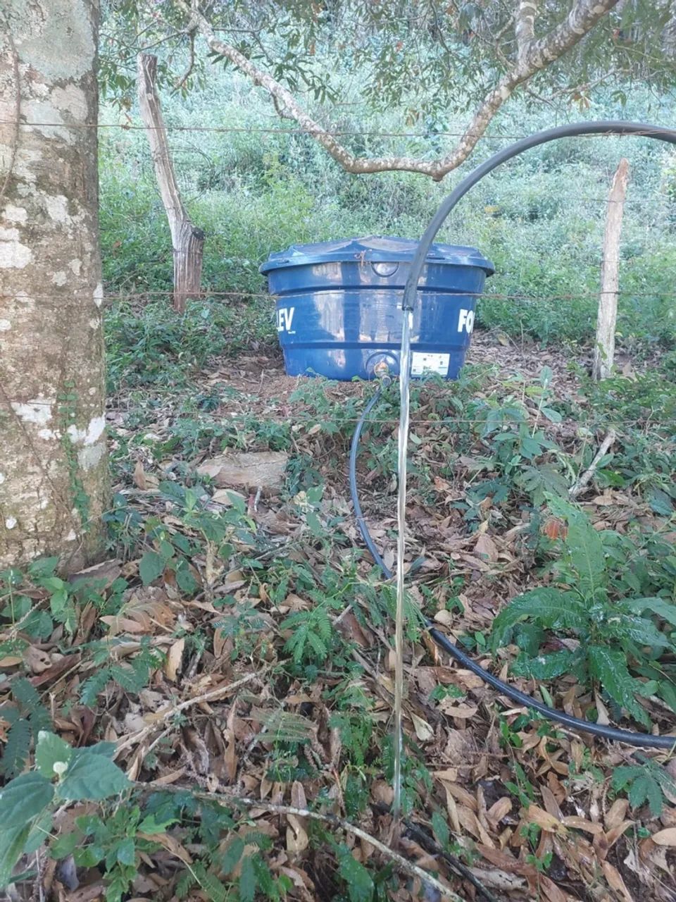 Imóvel rural em São Thomé das letras  - Foto 4