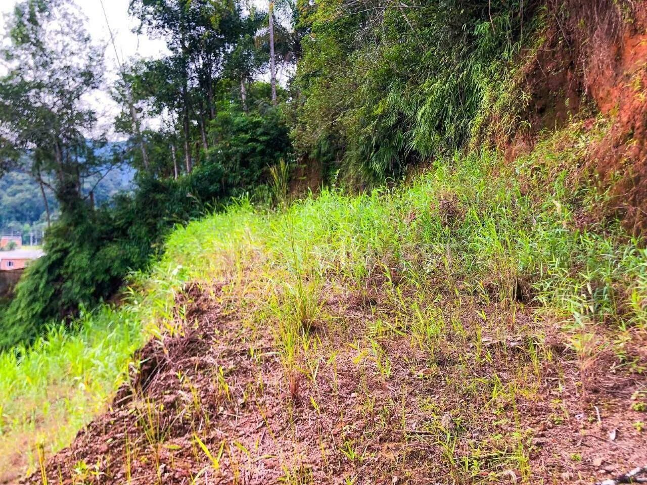 Terreno no bairro Bateas 825 m² - Foto 5