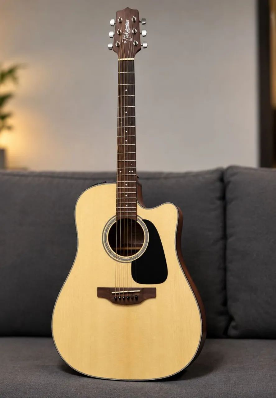 Takamine GD12