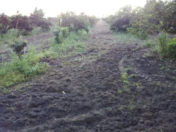 Sítio no Açu - Foto 2