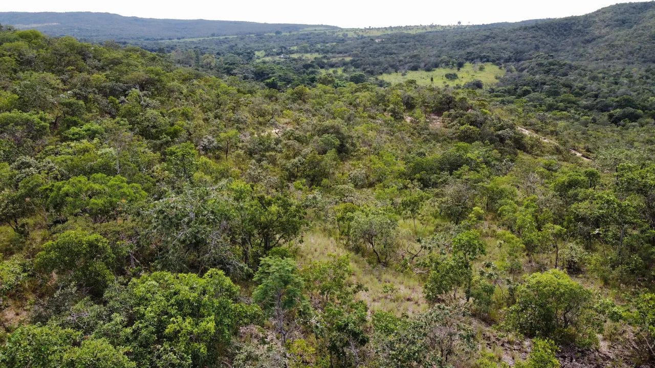 Chácara - Sitio Tropical - Foto 3